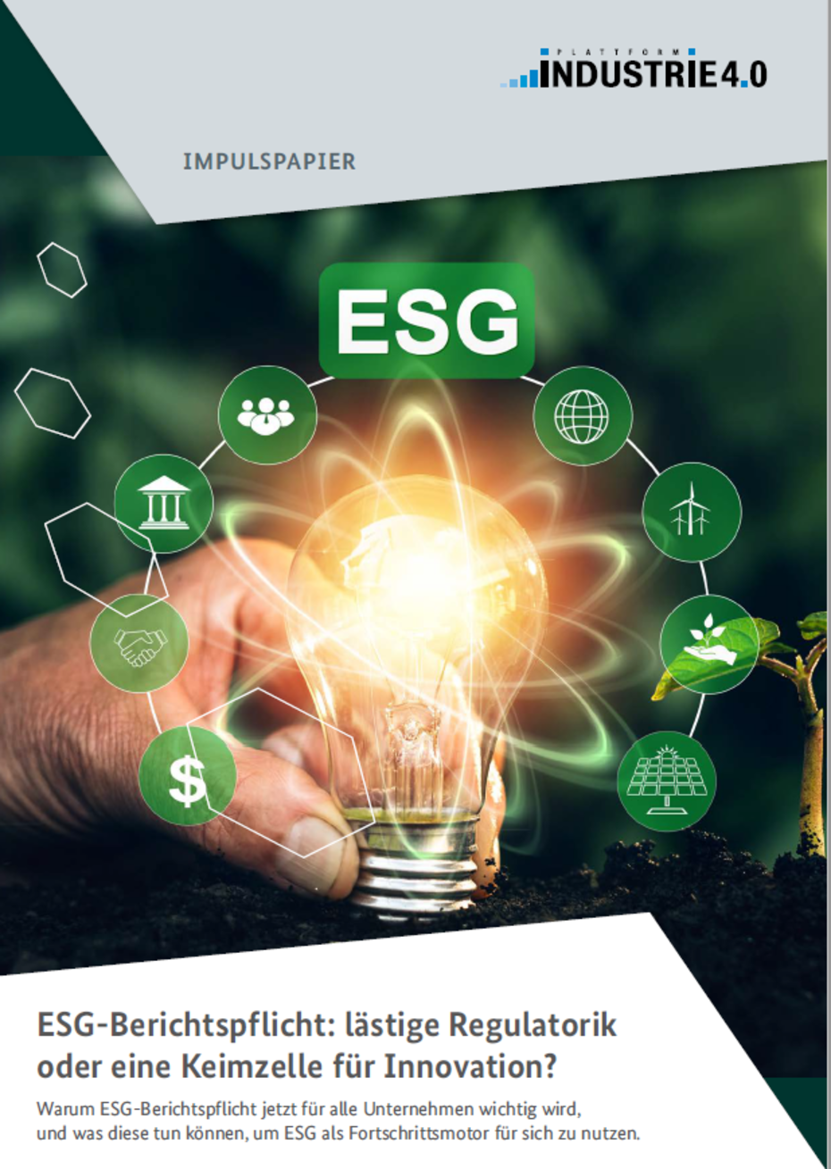 ESG-Berichtspflicht